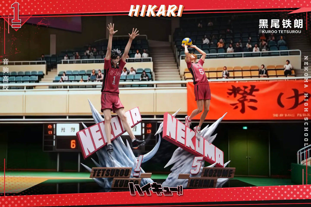 HIKARI 排球动态系列 黑尾铁朗