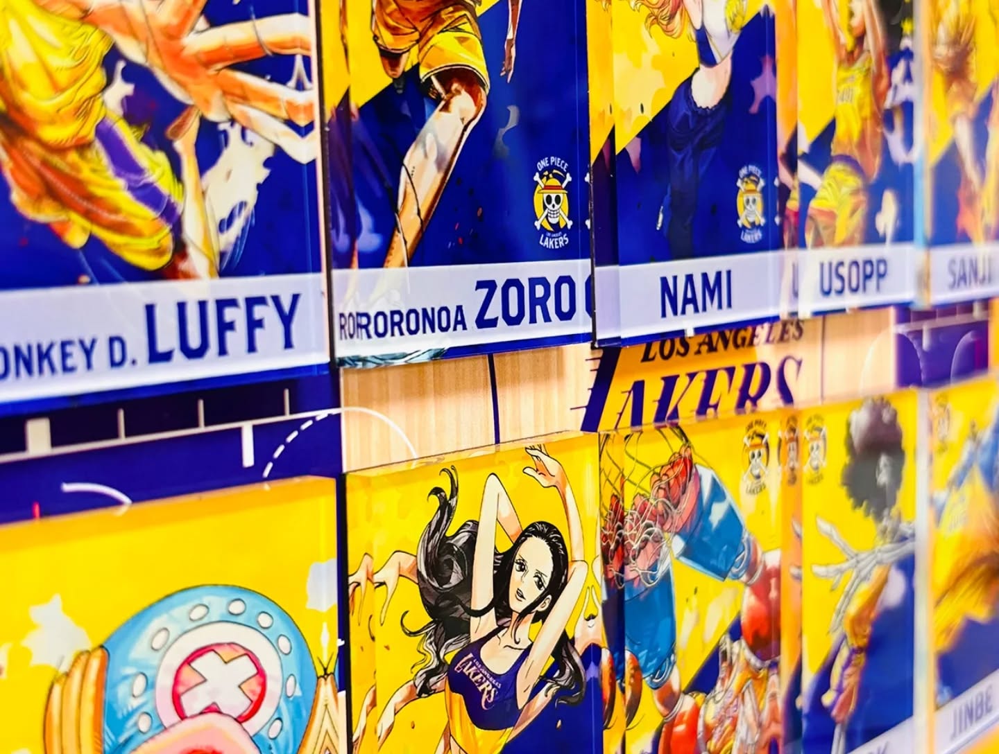 星空工作室出品-《海贼王湖人联动冰箱贴创意画》