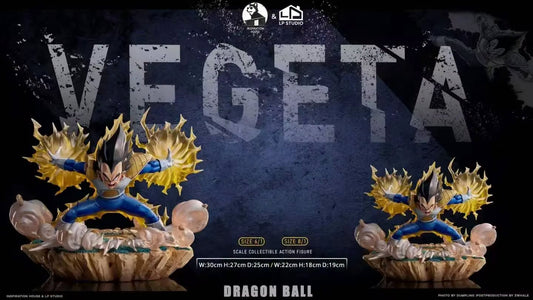 LP工作室 VEGETA